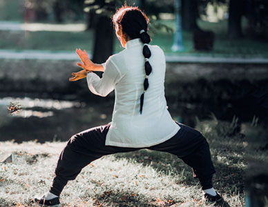 Terapias Alternativas