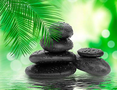 Terapias Alternativas